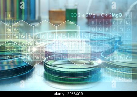 Petri dishes with colorful samples on desk, periodic table and chemical formulas, double exposure Stock Photo