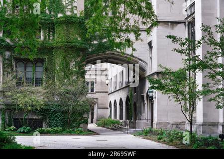 Ivy covered neo-gothic limestone buildings on the campus of the University of Chicago Stock Photo