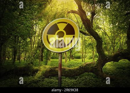 Radioactive pollution. Yellow warning sign with hazard symbol near contaminated area in forest Stock Photo