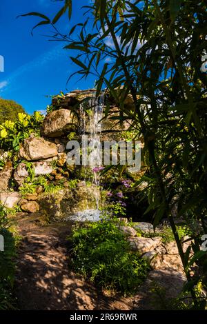 Late afternoon light on the waterfall at The Fauna & Flora Garden designed by Jilayne Rickards at the 2023 RHS Chelsea Flower Show, London, UK Stock Photo