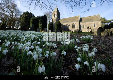Snowdrop Time St. Cuthberts Church, Kildale, North Yorkshire in the National Park Stock Photo