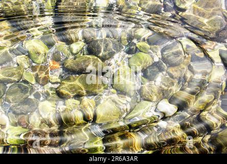Water ripples above sea shells stones - digitally altered Stock Photo