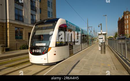 Trams extension from Newhaven to Edinburgh Airport started on the 7th June, Edinburgh, Scotland, UK Stock Photo