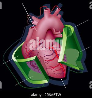 Human Heart with Axes and Green Transparent Arrow around it on Black Background. Vector Illustration (EPS v8.0) Stock Vector