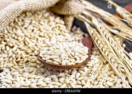 Spelled in a spoon, on the table and in a bag of burlap, stalks with ears of wheat on the background of wooden board Stock Photo