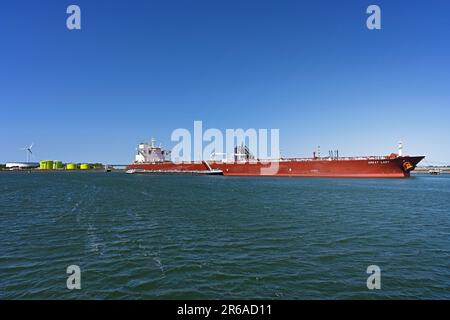 port of rotterdam (maasvlakte), netherlands - 2023-06-03: container ...