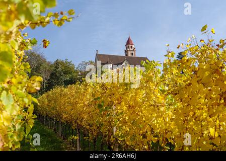 St. John the Baptist Parish Church surrounded by vineyards, Tirolo, Trentino-Alto Adige, Italy Stock Photo