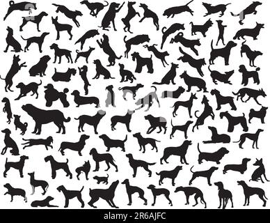 Collection of vector silhouettes of various dog breeds and poses Stock Vector