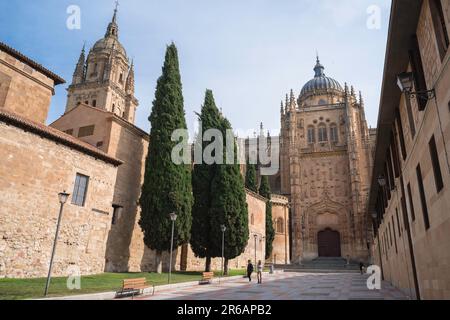 Salamanca Cathedral, view of the south side of the Catedral Nueva with the buildings of the Claustro de la Catedral shown on the left, Salamanca Spain Stock Photo