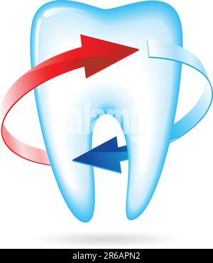 Tooth with arrows. Vector illustration on white Stock Vector
