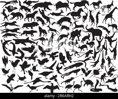 Collection of vector silhouettes of a wide range of active animals Stock Vector