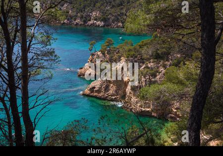 Calanque de Port d'Alon landscape (between Saint-Cyr-sur-Mer and Bandol), France. Transparent sea water, pine trees on cliffs. Stock Photo