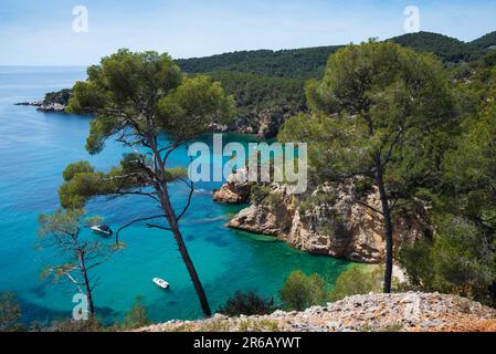 Calanque de Port d'Alon landscape (between Saint-Cyr-sur-Mer and Bandol), France. Spectacular view of sea coast, cliffs, boats, pine trees Stock Photo