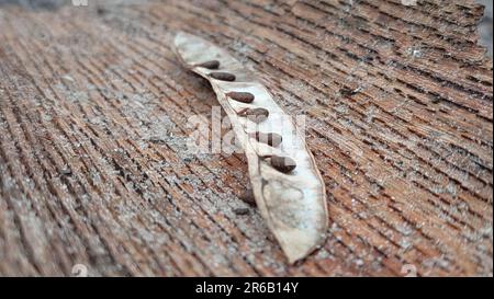 A variety of dried edible seeds on a tabletop surface Stock Photo