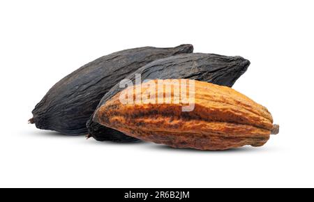 Cocoa or Cacao fruits isolated on white background Stock Photo