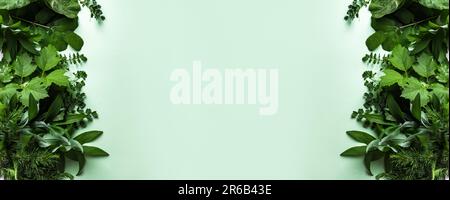 Green leaves on green background, copy space, banner. Wild forest plants frame. Stock Photo