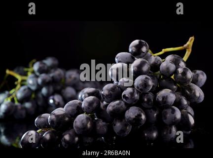 bunch of ripe dark grape isolated on black background Stock Photo