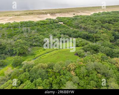 The natural site of the Metro is located in the south of the Landes department. It is made up of dunes, forest fringes, mixed forests and wetlands. Stock Photo