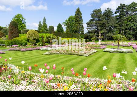 Brodsworth Hall and Gardens Formal gardens or Parterre at Brodsworth hall near Doncaster South Yorkshire England UK GB Europe Stock Photo