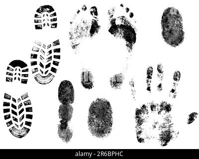 A collections of Vector HandPrints, Fingerprints, Footprints, and Shoeprints. All grouped and on separate layers. Stock Vector