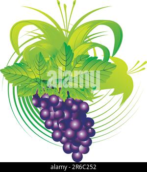 The stylised cluster of grapes with leaves on an abstract background Stock Vector