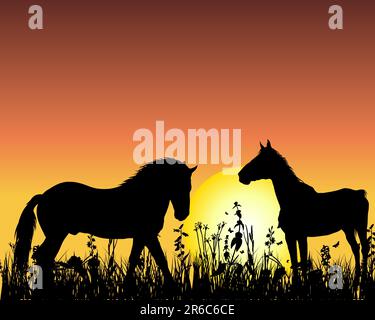 Horse silhouette on sunset background. Vector illustration. Stock Vector