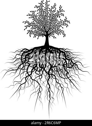 Editable vector illustration of a tree and its roots Stock Vector