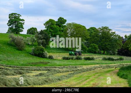 Haymaking (Valmet tractor being driven in field pulling McHale F5400 baler, collecting dry grass for fodder) - Leathley, North Yorkshire, England, UK. Stock Photo
