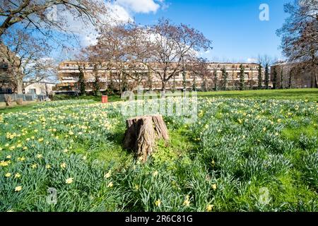 LONDON, MARCH 2023: Angell Town Estate in Brixton, south west London Stock Photo