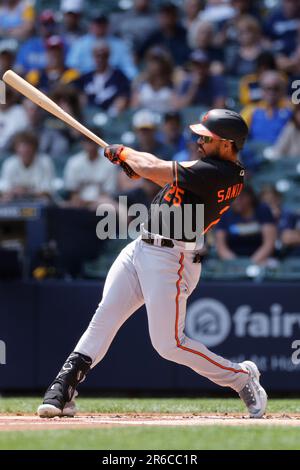 MILWAUKEE, WI - JUNE 08: Baltimore Orioles designated hitter Adley