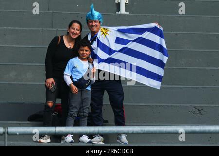 La Plata, Argentina. 8th June, 2023. Supporters of Uruguay during the semifinal match of World Cup FIFA U20 at Diego Maradona Stadium ( Credit: Néstor J. Beremblum/Alamy Live News Stock Photo