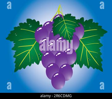 Purple grape on blue background. Vector illustration. Stock Vector