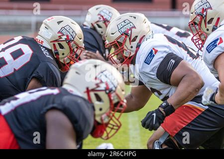 08 June 2023, Berlin: American Football: European League of Football, Media  Day at Berlin Thunder, Stock Photo, Picture And Rights Managed Image. Pic.  PAH-230608-99-991278-DPAI