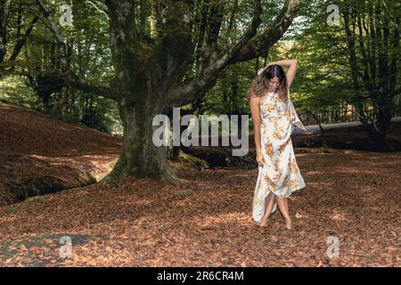 Brunette Beauty in a Summer Dress Amidst Enchanting Beech Trees Stock Photo