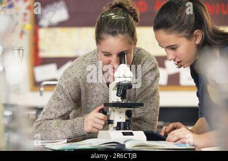 middle school pupils working on a cooperative project in biology schoolroom Stock Photo