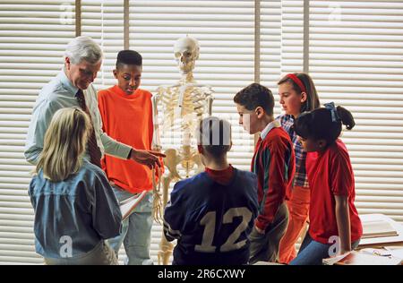 Caucasian  Science teacher discussing anatomy with a group of mixed racial high school students Stock Photo