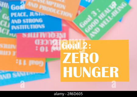Goal 2 : Zero Hunger. The SDGs 17 development goals environment ...