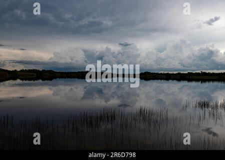 Dark storm clouds and rain forming over Nine Mile Pond in Everglades National Park, Florida. Stock Photo