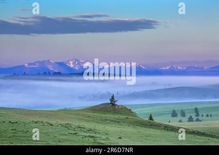 morning light on peaks of the flint creek range and foggy foothills near avon, montana Stock Photo