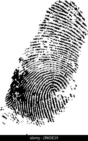 detailed finger print - vector illustration Stock Vector