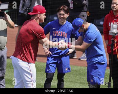 Seiya Suzuki huge fan of Mike Trout