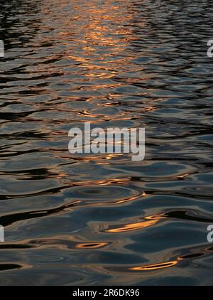 Water surface with ripples and golden sun light reflected on it at sunset. Natural background. Stock Photo