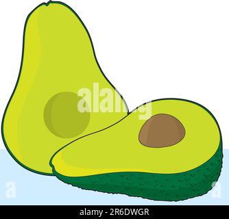 A single avocado cut in half with a pit in one of the halves Stock Vector
