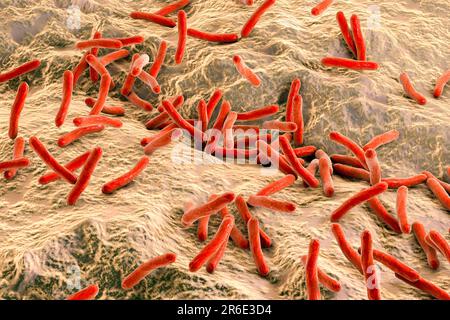 Leprosy bacteria. Computer artwork of Mycobacterium leprae bacteria, the Gram-positive rod-shaped bacteria which cause the disease leprosy. Stock Photo
