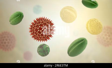 Pollen grains from different plants, computer illustration. Pollen grain size, shape and surface texture differ from one plant species to another, as Stock Photo