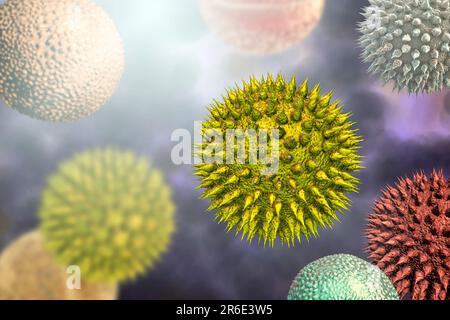 Pollen grains from different plants, computer illustration. Pollen grain size, shape and surface texture differ from one plant species to another, as Stock Photo