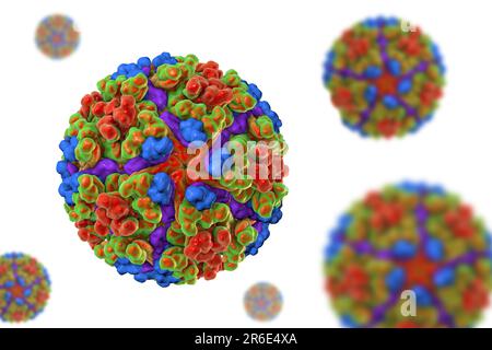 Chikungunya virus, computer illustration. Chikungunya virus is composed of an RNA (ribonucleic acid) genome enclosed in a protein coat, or nucleocapsi Stock Photo