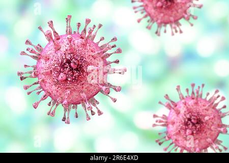 Human cytomegalovirus (HCMV), computer illustration. HCMV is a member of the herpesvirus family. It has a high infection rate and is a major cause of Stock Photo