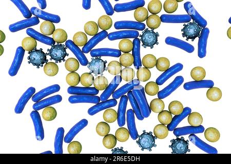 Computer illustration of bacteria of different shapes, including cocci ...