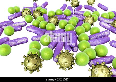 Bacteria and viruses of different shapes, computer illustration. Stock Photo